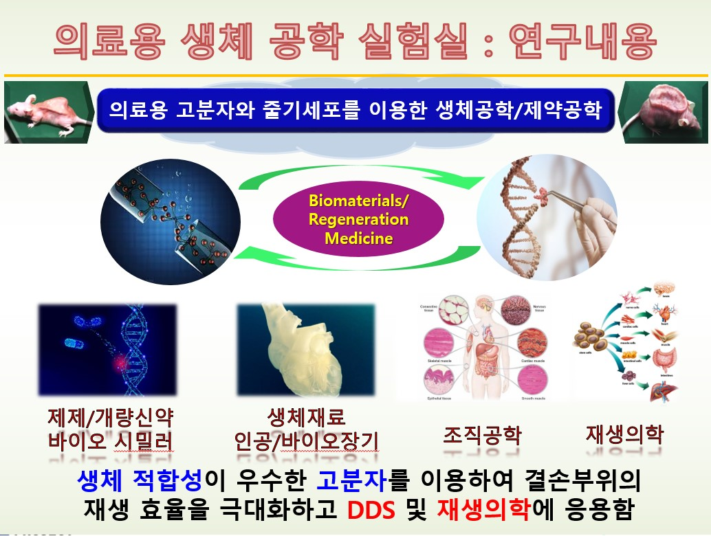 의료용 생체 공학 실험실 연구내용